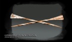 Ginkophyta-Mokumania-Web